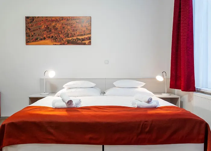 Apartmanovy Komplex Dagmar Szálloda Jáchymov